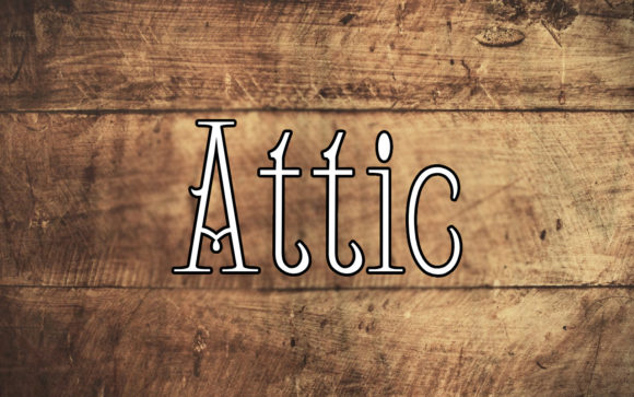 Attic: A Slim Serif with Distinctive Character
